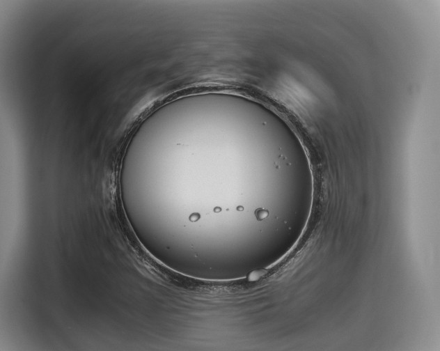 X0000115351355200911101128