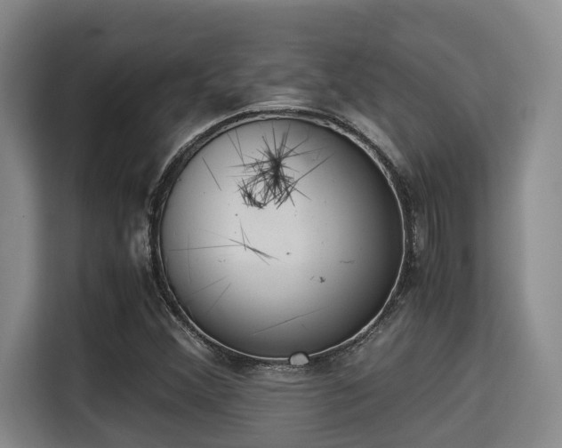 X0000115351356200911101128