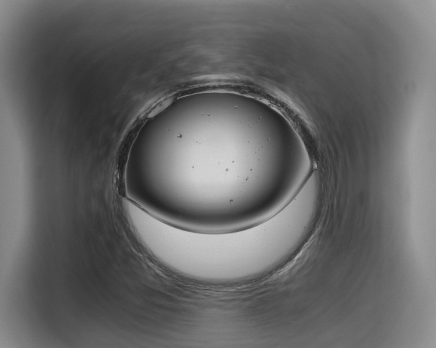X0000115351357200911101128