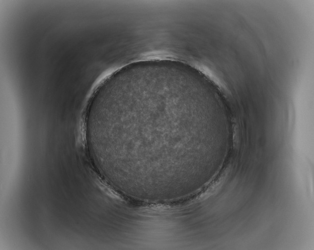 X0000115351358200911101128