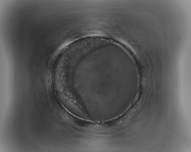 X0000115351359200911101128