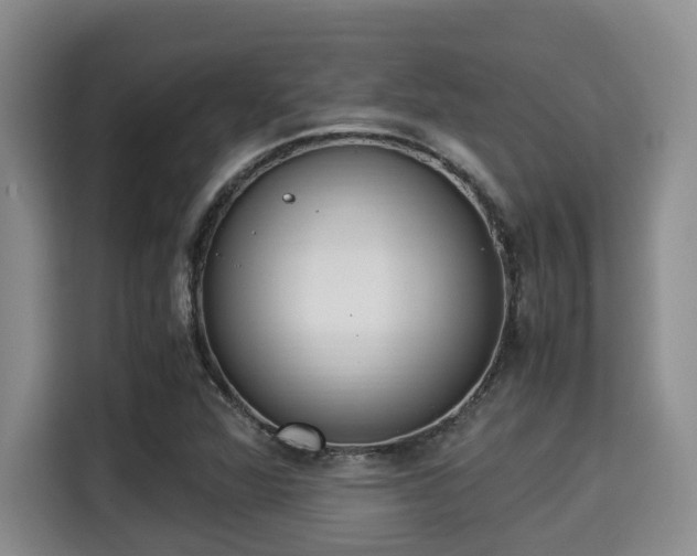 X0000115351360200911101128