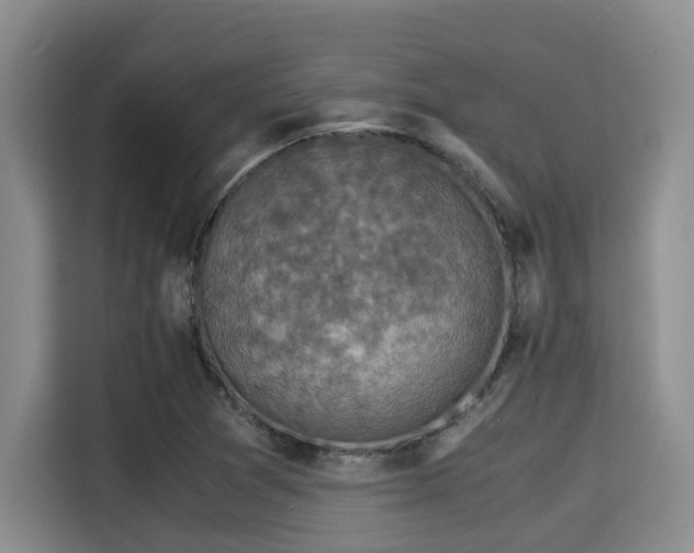 X0000115351361200911101128