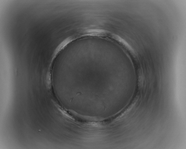 X0000115351362200911101128