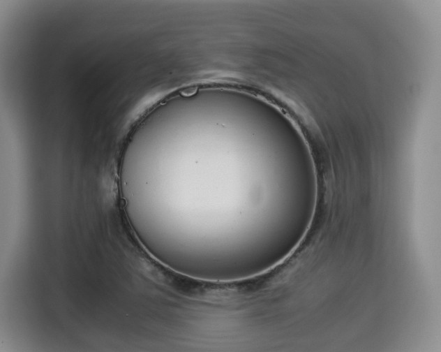 X0000115351363200911101128
