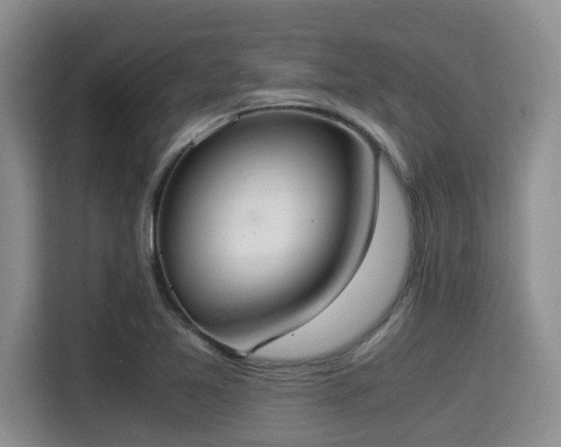 X0000115351365200911101127