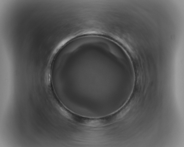X0000115351367200911101127