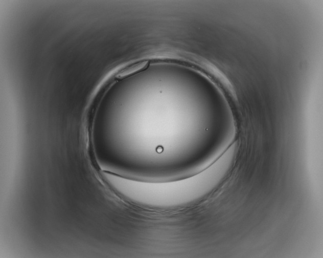 X0000115351368200911101127