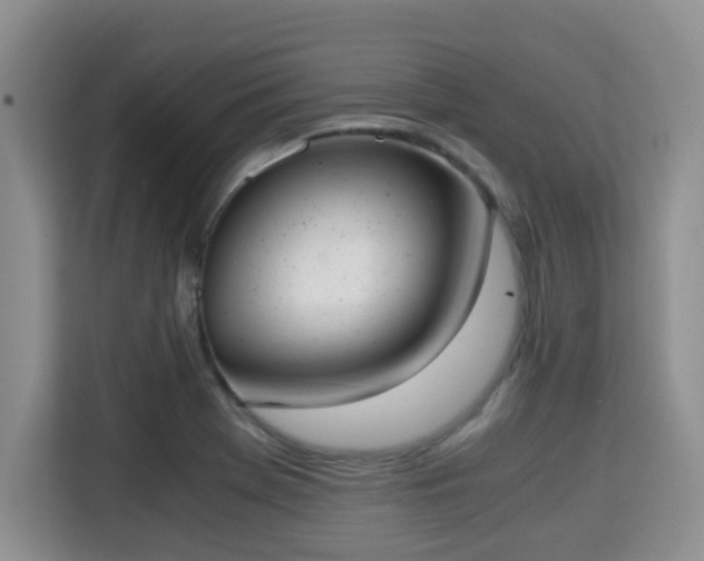 X0000115351369200911101127