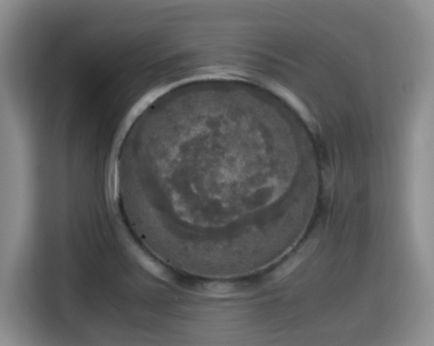 X0000115351371200911101127