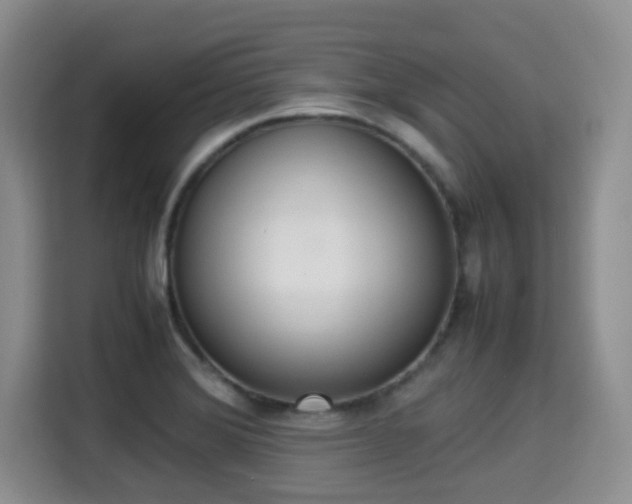 X0000115351372200911101127