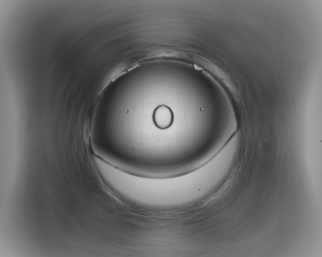 X0000115351377200911101127