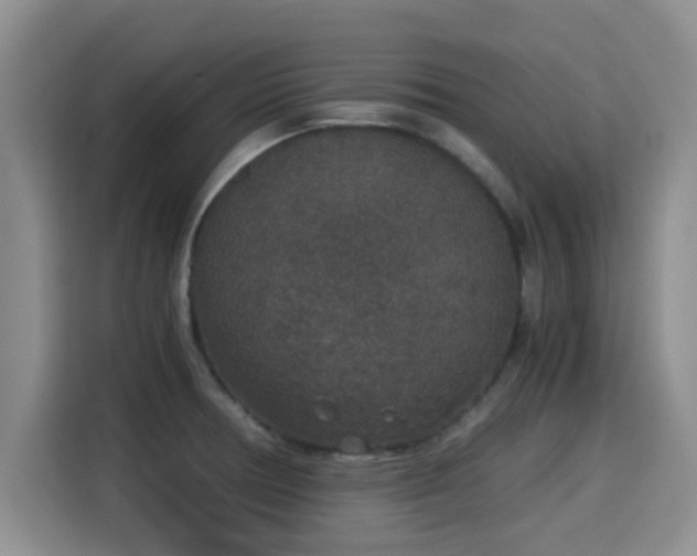 X0000115351378200911101127