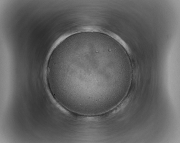 X0000115351381200911101127