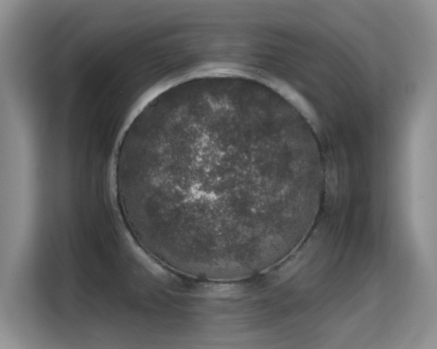 X0000115351382200911101127