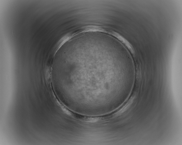 X0000115351385200911101127