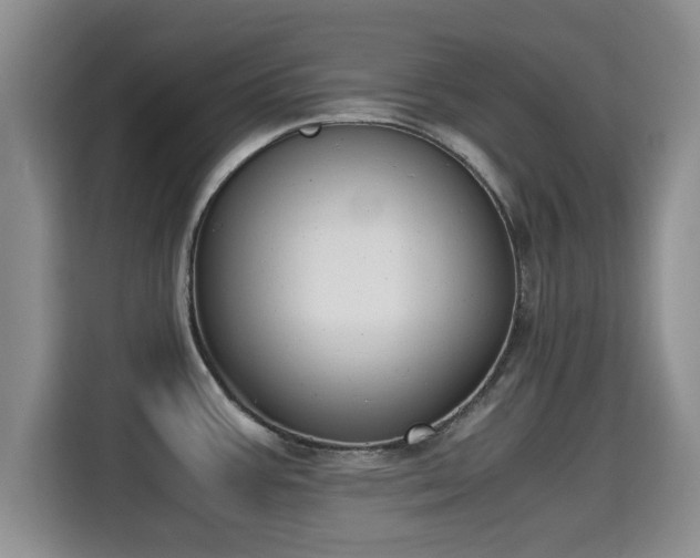 X0000115351387200911101127