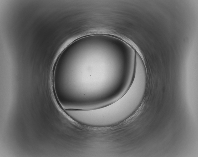 X0000115351389200911101127
