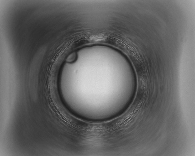 X0000115351393200911101127