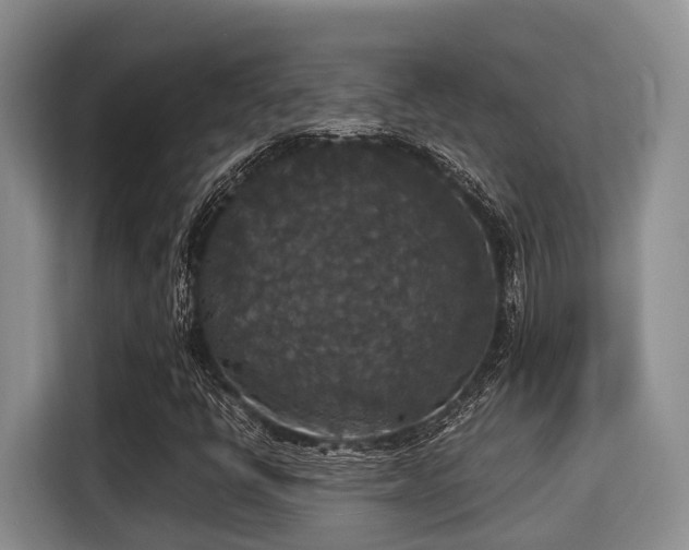 X0000115351398200911101127