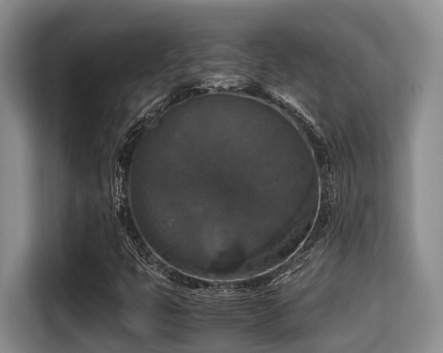 X0000115351399200911101127