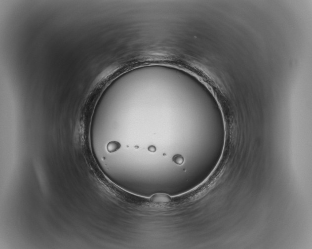 X0000115351402200911101127
