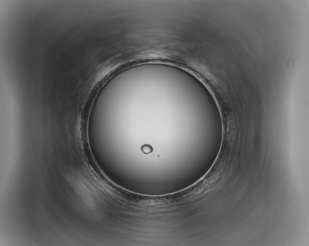 X0000115351404200911101127