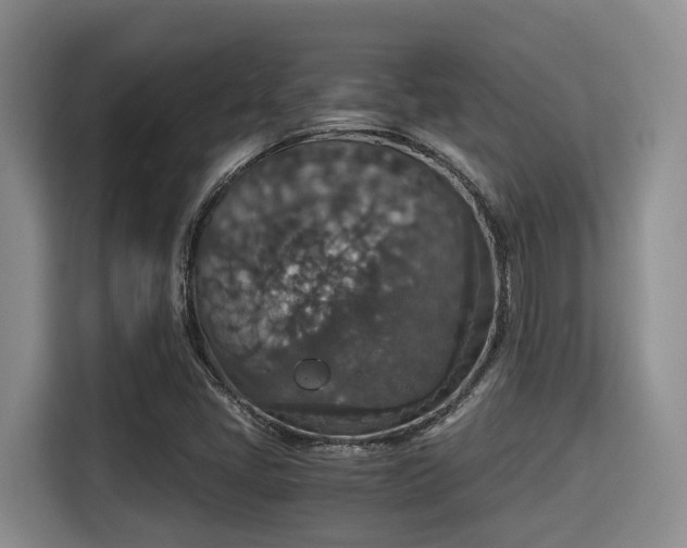 X0000115351405200911101127