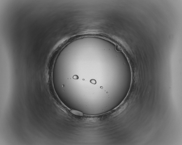 X0000115351406200911101127