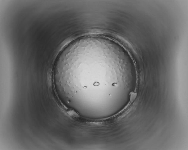 X0000115351409200911101127