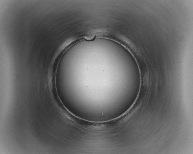X0000115351410200911101127
