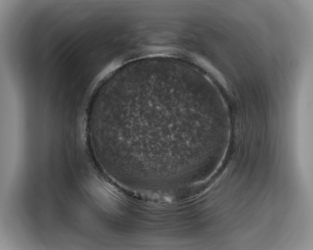 X0000115351411200911101127