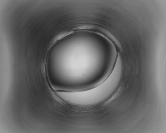 X0000115351417200911101127