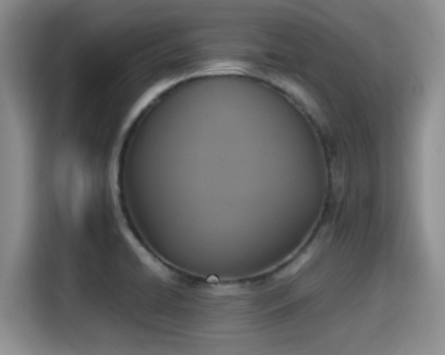 X0000115351422200911101127