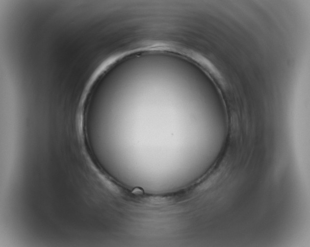 X0000115351424200911101127