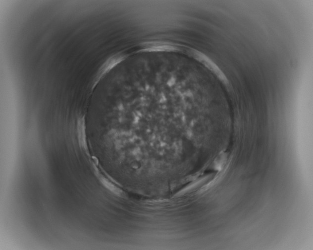 X0000115351425200911101127