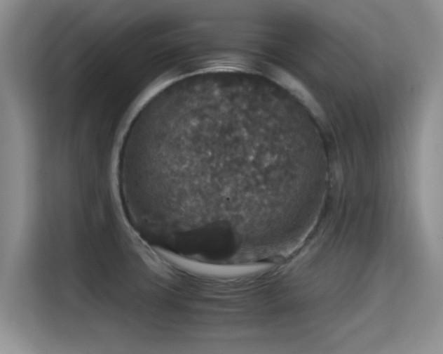X0000115351427200911101127