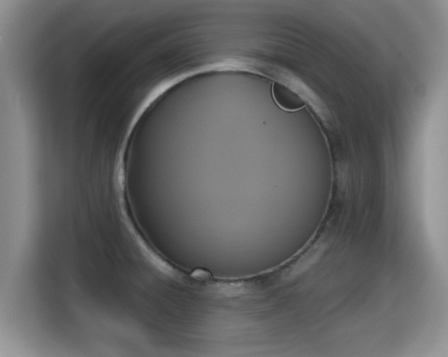 X0000115351428200911101127
