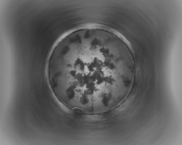 X0000115351429200911101127