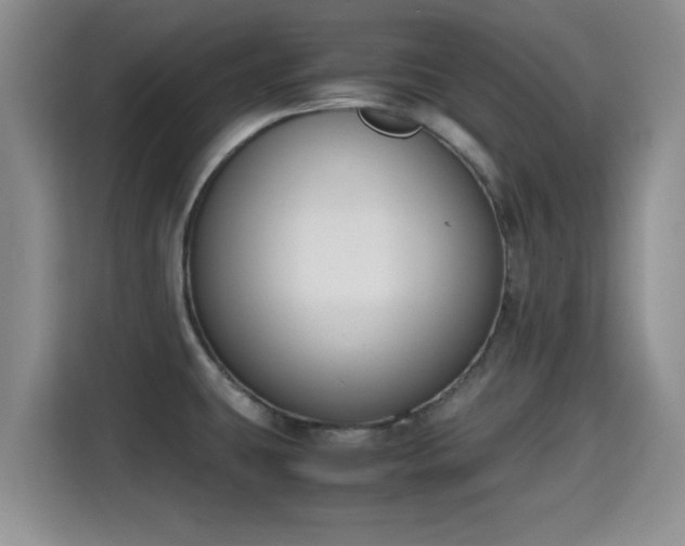 X0000115351431200911101127