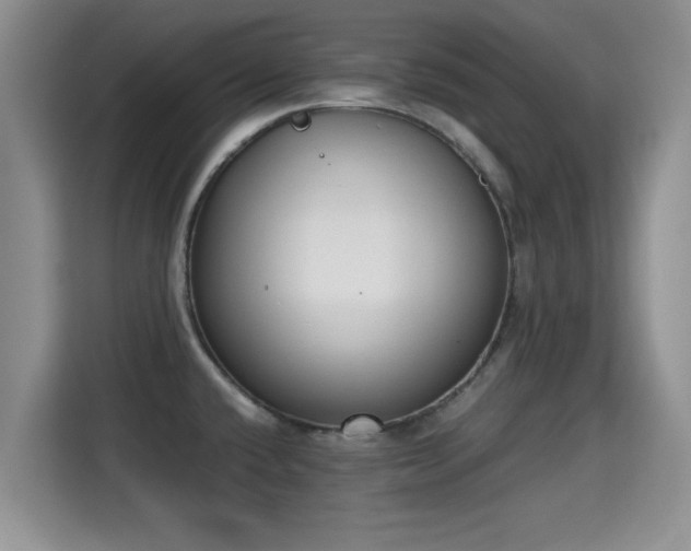 X0000115351432200911101127