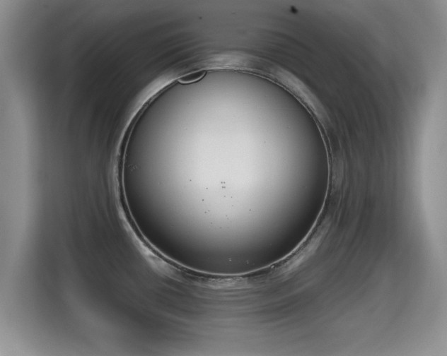 X0000115351434200911101127