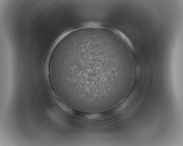 X0000115351435200911101127