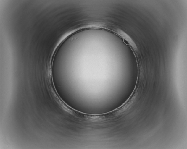 X0000115351436200911101127
