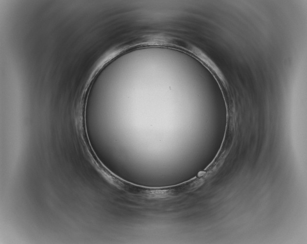 X0000115351437200911101127