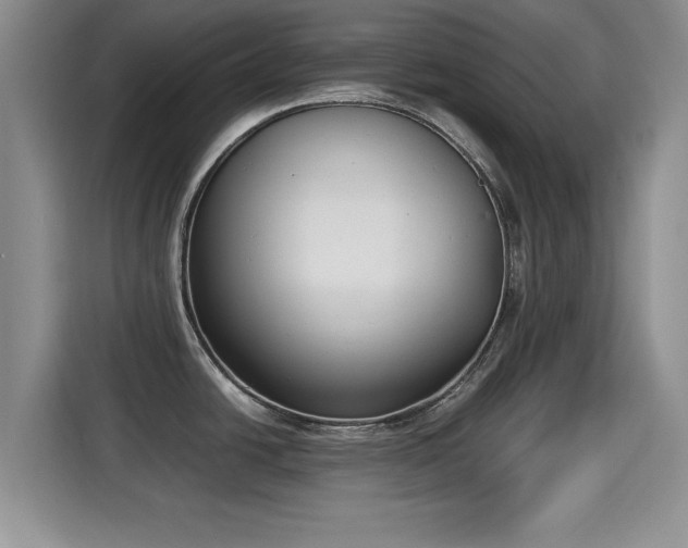 X0000115351438200911101127