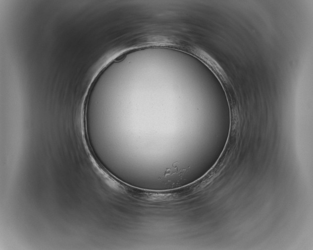 X0000115351439200911101127