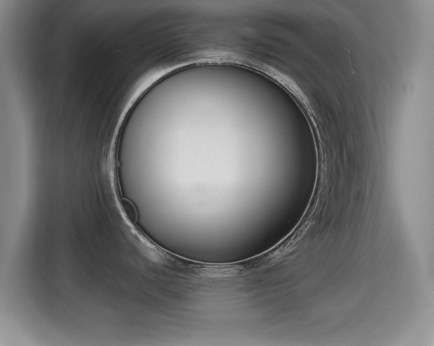 X0000115351440200911101127