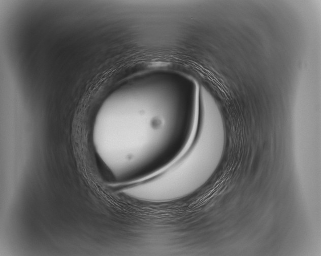 X0000115351441200911101126
