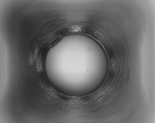 X0000115351442200911101126